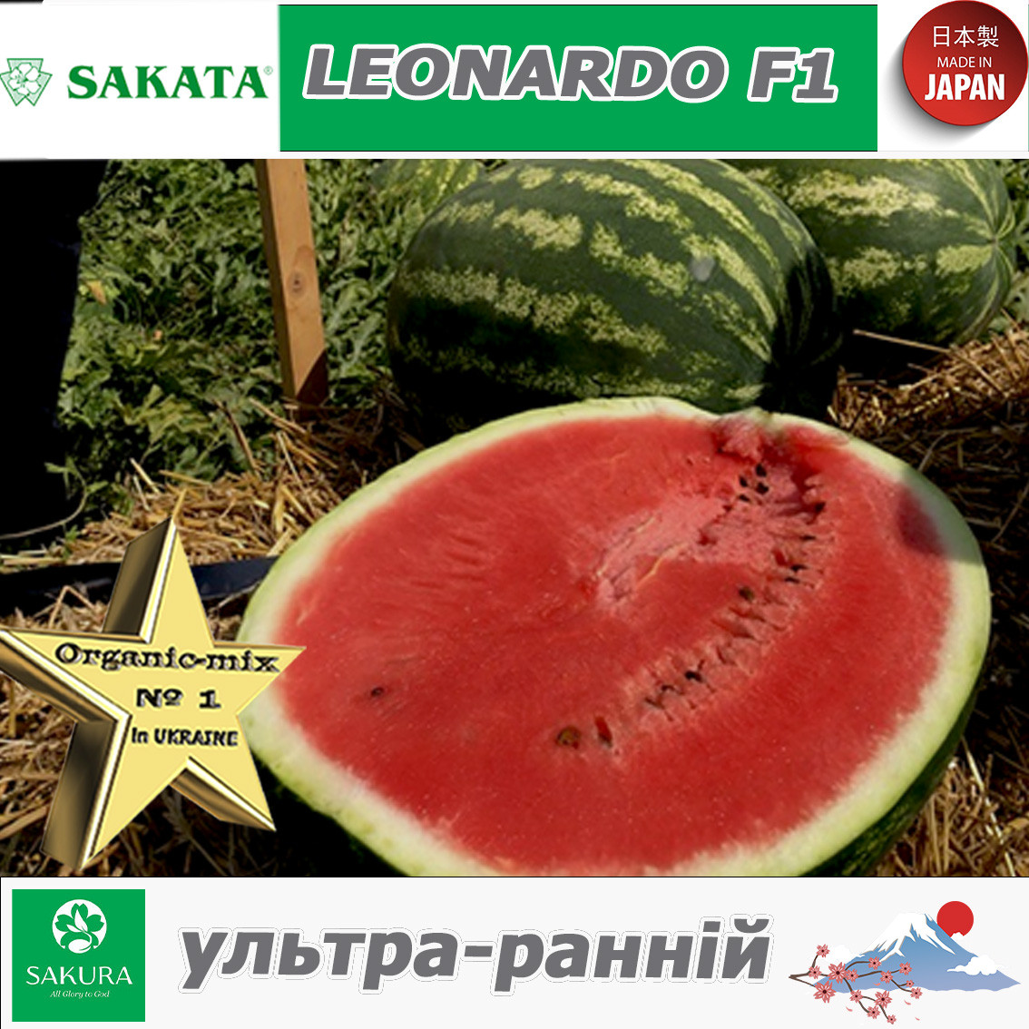 Кавун ультра-ранній ЛЕОНАРДО F1 / LEONARDO F1, Sakata (Японія)