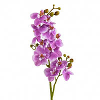 Орхидея "Фаленопсис", фиолетовая, 70 см