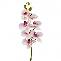 Орхидея "Фаленопсис", бело-розовая, 75 см (9023-013)
