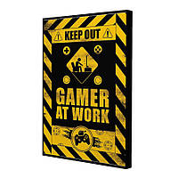 Gamer at work (28x40) (ПС-226)