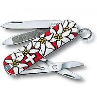 Нож Victorinox CLASSIC Edelweiss (1049-Vx06203.840)
