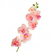 Орхидея фаленопсис, светло-розовая 90 см
