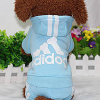 Спортивный костюм для котов и кошек Pet Style "Adidog" Голубой