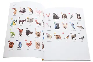 Зоометрія. Улюблені тварини. Жорж, фото 4