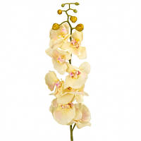 Орхидея 90 см, силикон