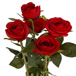 Троянда зв'язка 5 голів 29 см червоний