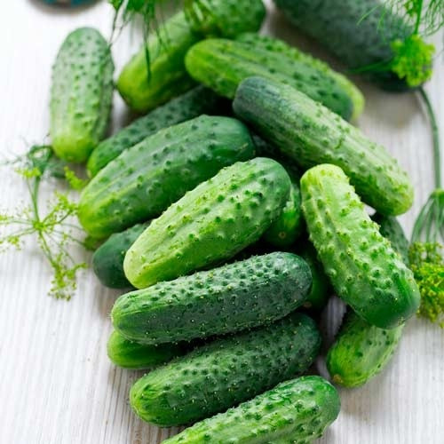 Насіння Огірка Джерело (1г), фото 1