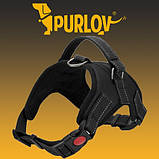 Шлейка для середніх порід собак не давить S Purlov 16149 Польща, фото 3
