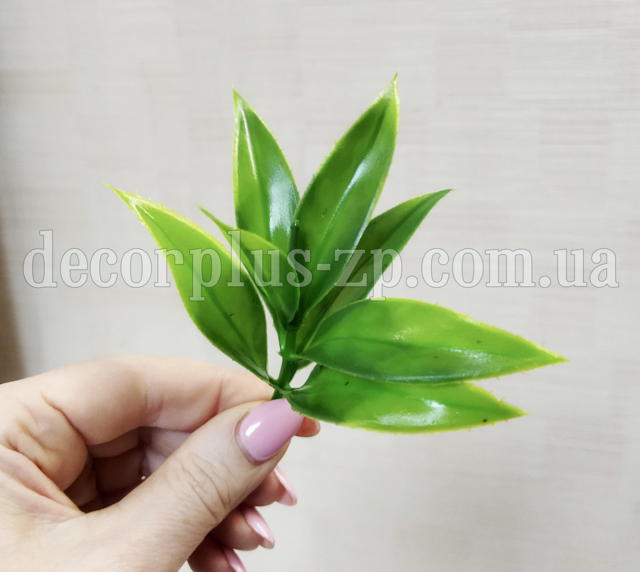 Добавка - лист лимону, фото 1