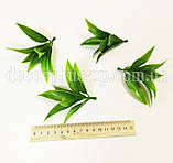 Добавка - лист лимону, фото 2