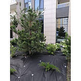 Агроволокно 50 щільність 1,6*25 м. чорне для мульчування "ЕASY-CARRY ROLLS" "Agreen", фото 3