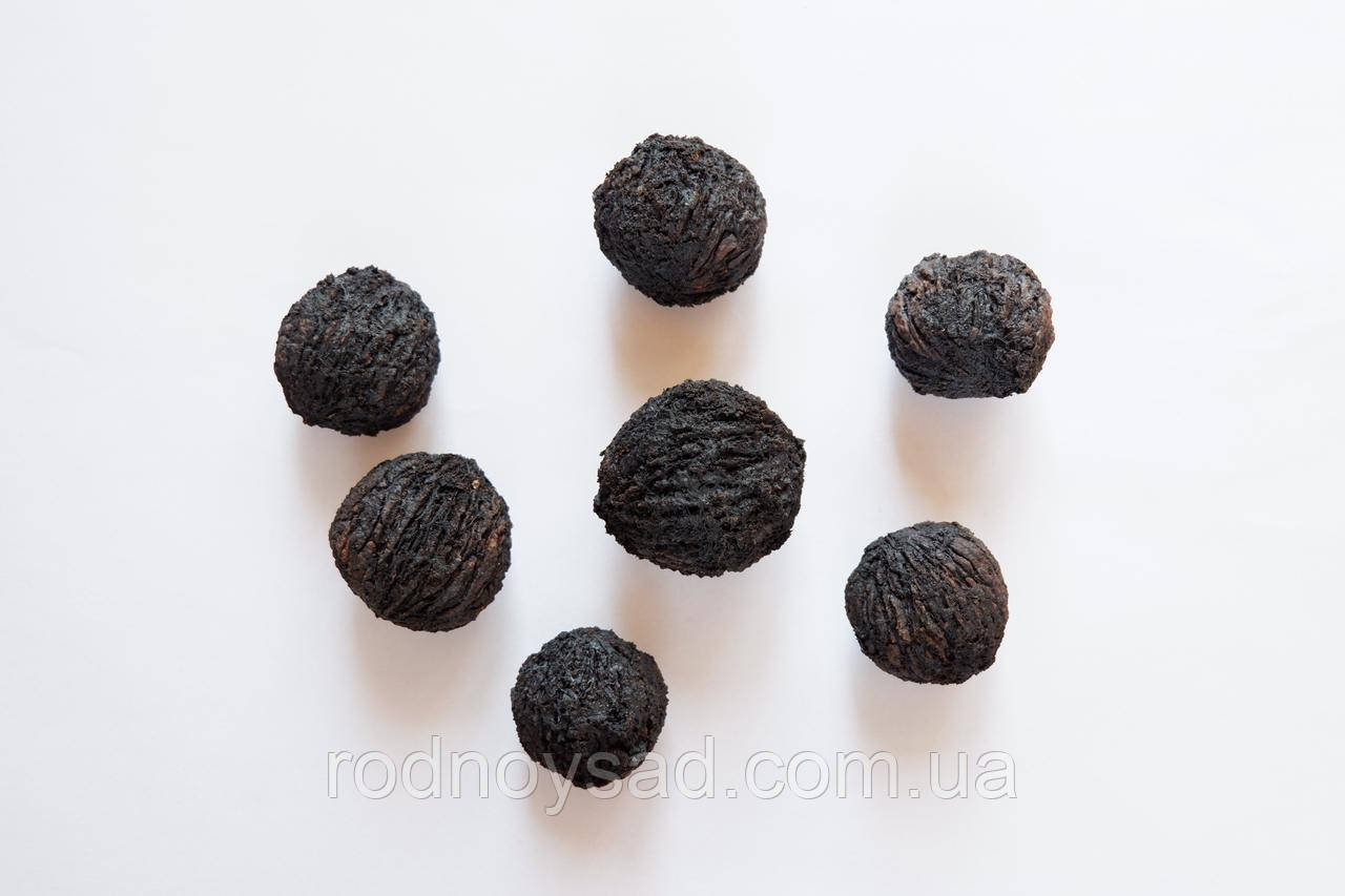 Горіх Чорний насіння 10 шт Juglans nigra для саджанців, фото 1