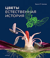 Книга Цветы. Естественная история. Автор Кремер Б. (Рус.) (переплет твердый) 2019 г.