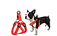 Світлодіодна шлейка для собак (XL) 55-70cm, що працює від USB-зарпядки, на акумуляторі, фото 2