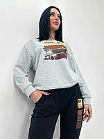 Красивый яркий двухцветный женский спортивный костюм, весенний костюм двунитка Серый, 42/44
