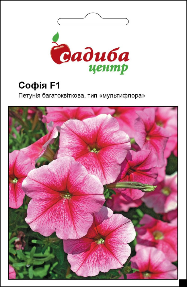Петунія Софія F1 10шт