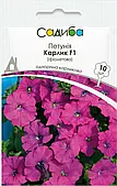 Петунія Карлик фіолетова F1 10шт