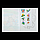 Розмальовка А5 Комахи ZiBi ZB.16001 з наклейками 8стор, фото 2