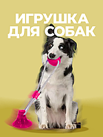 Игрушка на присоске для собак Dog Toy Rope розовая
