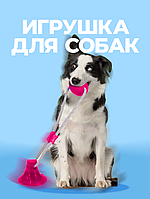 Развивающая игрушка-мячик для собак Dog Toy Rope розовая на присоске