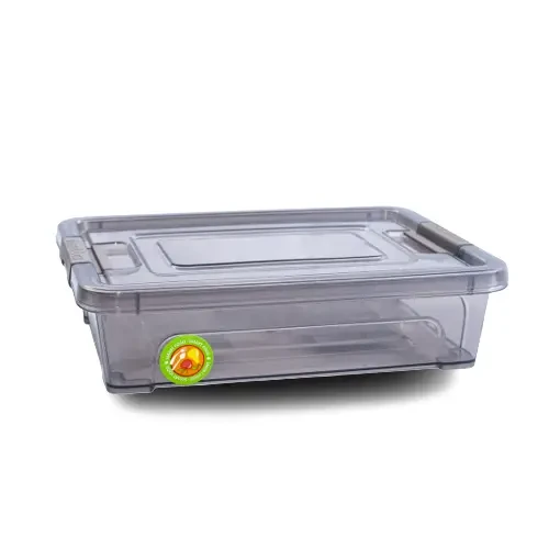 Контейнер "Smart Box" 0,4л 16*12*4см коричневий прозорий/какао Алеана