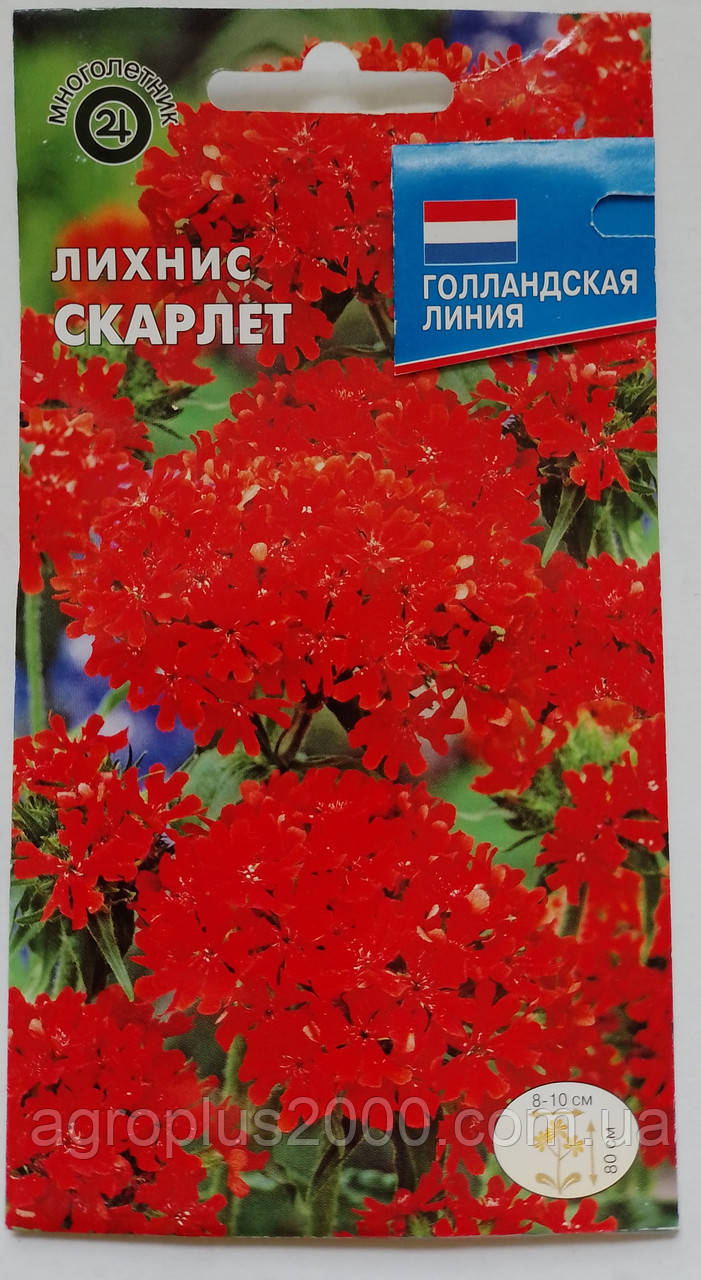 Насіння Ліхніс Скарлет 0,25 грама