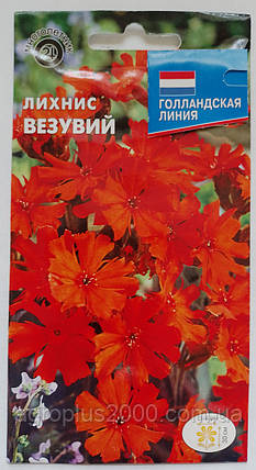 Насіння Ліхніс Везувій 0,25 грама, фото 1