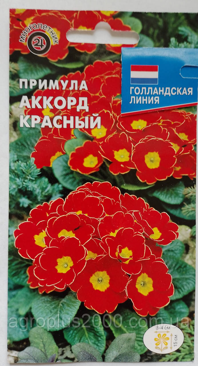 Насіння Примула безстебельна Акорд Червоний 5 насінин