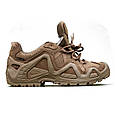 Ботинки LOWA Zephyr GTX LO TF (Coyote OP) 306310/731, фото 4