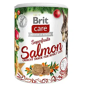 Різдвяні ласощі для котів Brit Care Cat Superfruits 100 г (лосось та обліпиха)