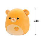 М'яка іграшка Squishmallows – Ведмідь Чемберлен (13 cm) SQVA00849, фото 4
