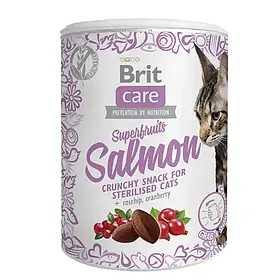 Ласощі для котів Brit Care Crunchy Cracker Superfruits 100 г - лосось, шипшина і журавлина