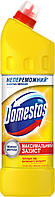 Засіб для миття унітаза "Domestos", 1 л 070408032