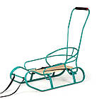 Санки "Экспресс" бирюза + спинка + ручка