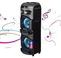 Акустическая портативная колонка ProAudio 1212