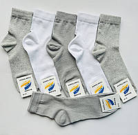 Шкарпетки чоловічі літні світлі сітка стрейч Житомир середня висота 40-45 розмір