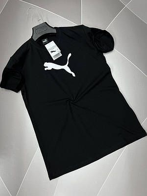 Футболка чоловіча Puma S-XXL, S, Чорний