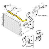 Патрубок охолодження 50500406 Alfa Romeo з нержавійки - ДОВІЧНА ГАРАНТІЯ, фото 2