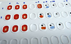 Планшет одноразовий для визначення груп крові 40 лунок №25