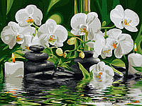 Картина по номерам цветы 40х50 Картины по цифрам Спокойствие орхидей Роспись по номерам Rainbow Art