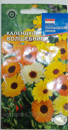 Насіння Календула Чарівниця суміш 0,5 грама, фото 1