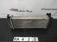 RA0420 8200382109 радіатор інтеркулера Renault (RVI) Kangoo 2 08- 32/02/03/