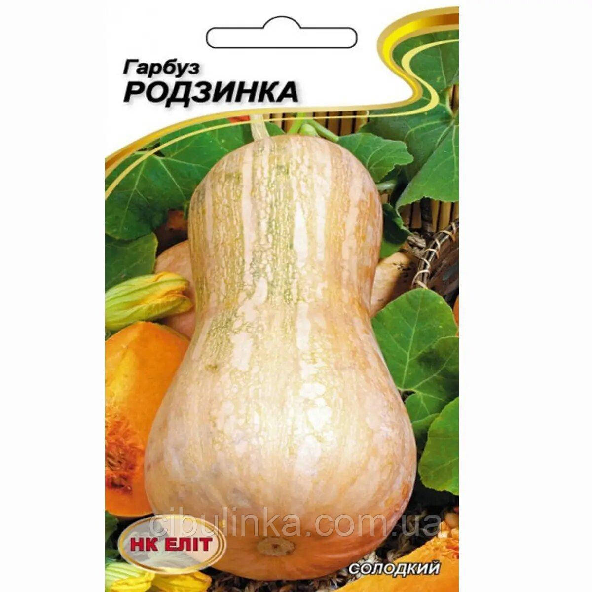 Гарбуз Родзинка мускатний НК Еліт 10 г, фото 1