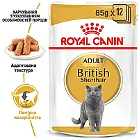 Вологий корм для дорослих котів ROYAL CANIN BRITISH SHORTHAIR ADULT 0.085 кг x 12 шт.