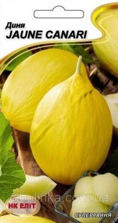 Диня Jaune Canari НК Еліт 1 г, фото 1
