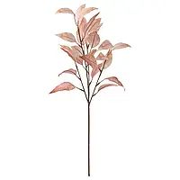 Искусственная ветка, эвкалипт/розовый, 60 см SMYCKA (105.601.14) IKEA