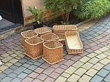 Торгові лотки з лози. 30х30см. Н-15см, фото 2