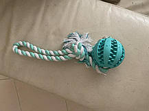 Trixie М'яч Denta Fun на канаті для собак, Іграшка для собак, фото 5