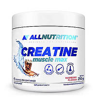 Креатин AllNutrition Creatine Muscle Max 250 g (Cola)