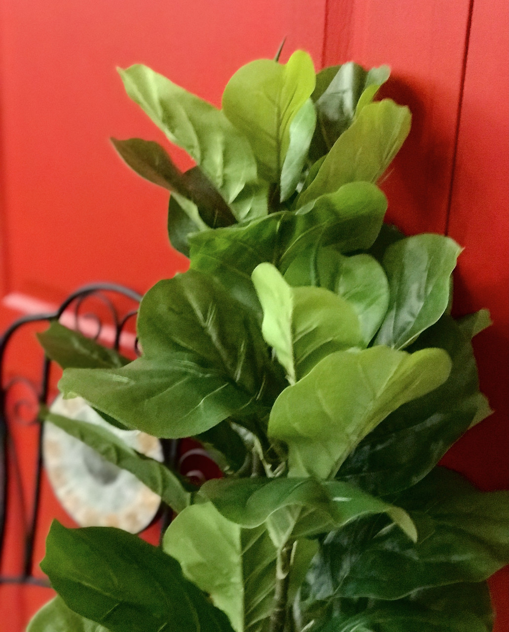 Фикус Лирата (Ficus lyrata) искусственный 120 см в горшке K2542 (ID ...